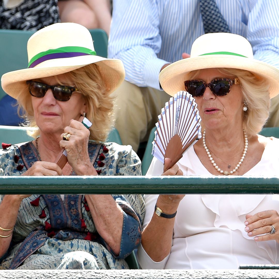 6 royals who look strikingly similar to their siblings: from Queen Camilla to Princess Kate & more